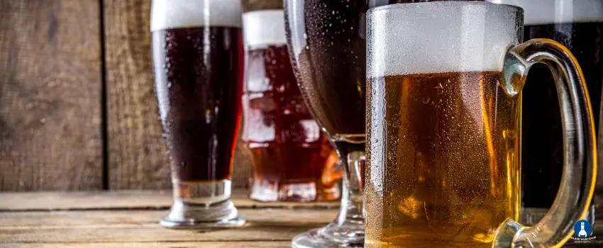 Beer Glassware Guide: Elevate Your Drinking Experience